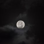 El día que conocí al conejo de la luna